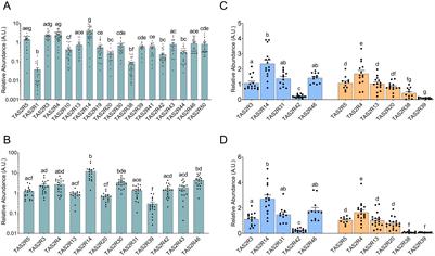 Profiling bitter taste receptors (TAS2R) along the gastrointestinal tract and their influence on enterohormone secretion. Gender- and age-related effects in the colon